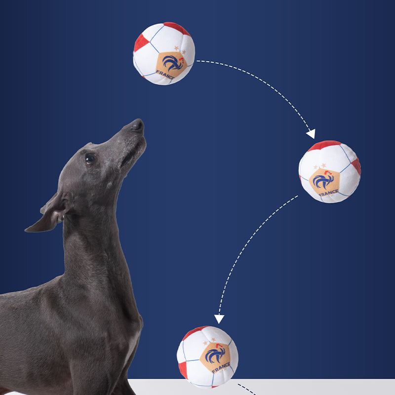 France FFF Pet Rooster & Soccer Ball Toy Set